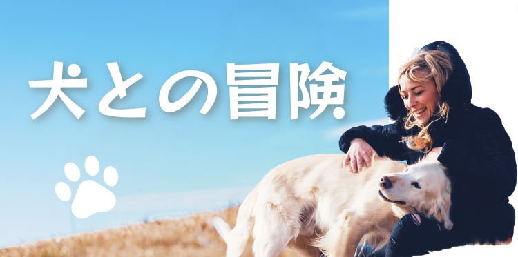 カワイイがいっぱい！ワンダーランド